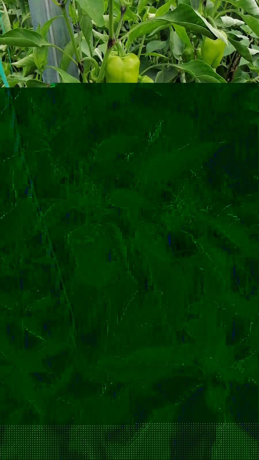 galeri-resim