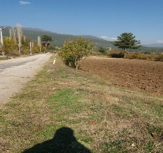 ürün ERAYdan ACIPAYAM ÇİFTLİKte BÜYÜK FIRSAT YOLA CEPHE TEK TAPU TARLA