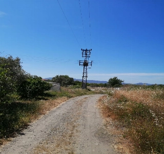 ürün ERAY dan DALAMAN DA BÜYÜK FIRSAT YOLA CEPHE TEK TAPU 2100 M2 TARLA