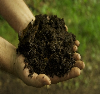 ürün ORGANİK GÜBRE 