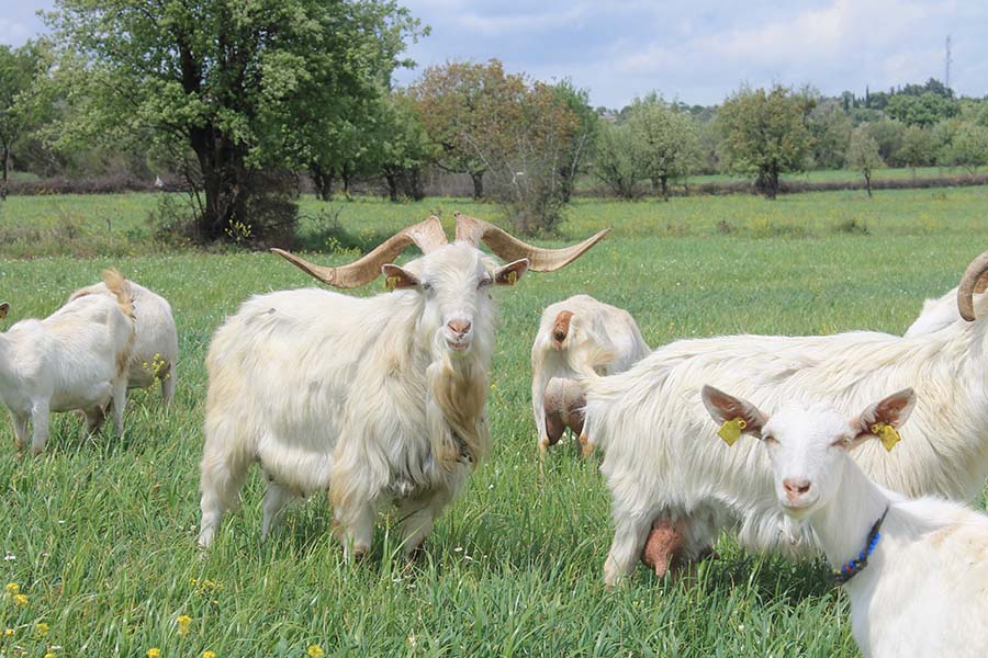 galeri-resim