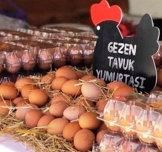 ürün GEZEN TAVUK YUMURTASI