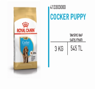 ürün COCKER PUPPY