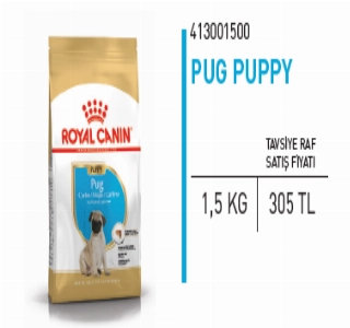 ürün PUG PUPPY