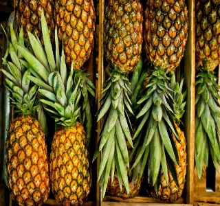 ürün ANANAS