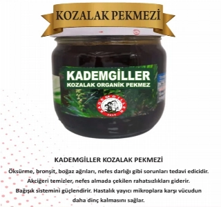 ürün Çam Kozalağı Pekmezi 400gr