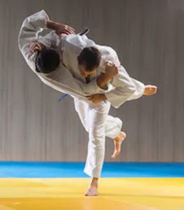 hizmet JUDO