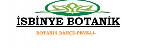 baslik
