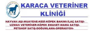 baslik