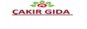 baslik