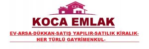 baslik