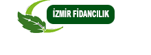 baslik