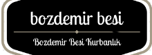 baslik