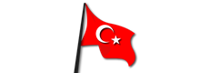 baslik