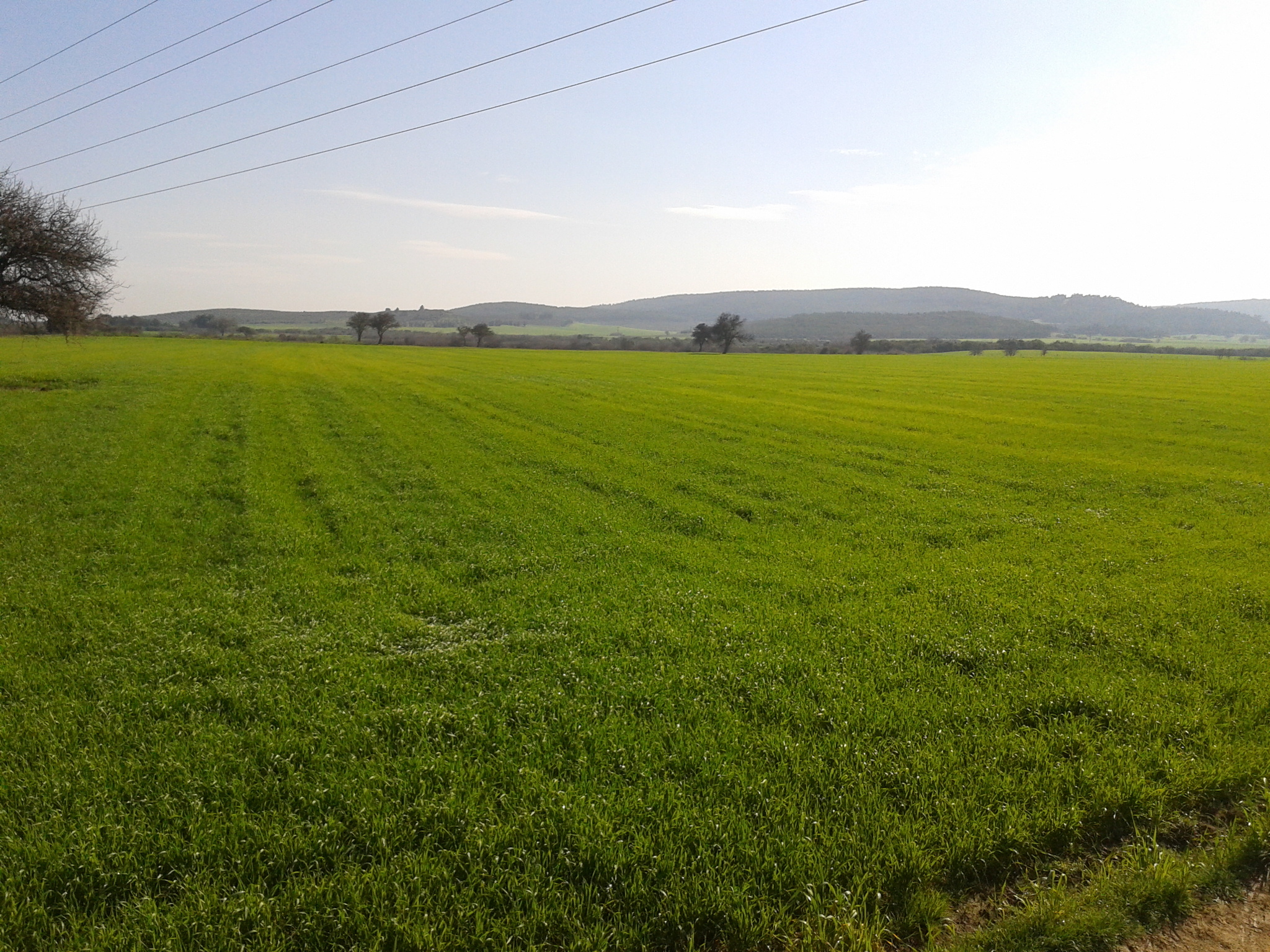 Green hills зеленые холмы ирландии. чистая долина. луга с птичьего полета. равнины норвегии. зеленые холмы англии.