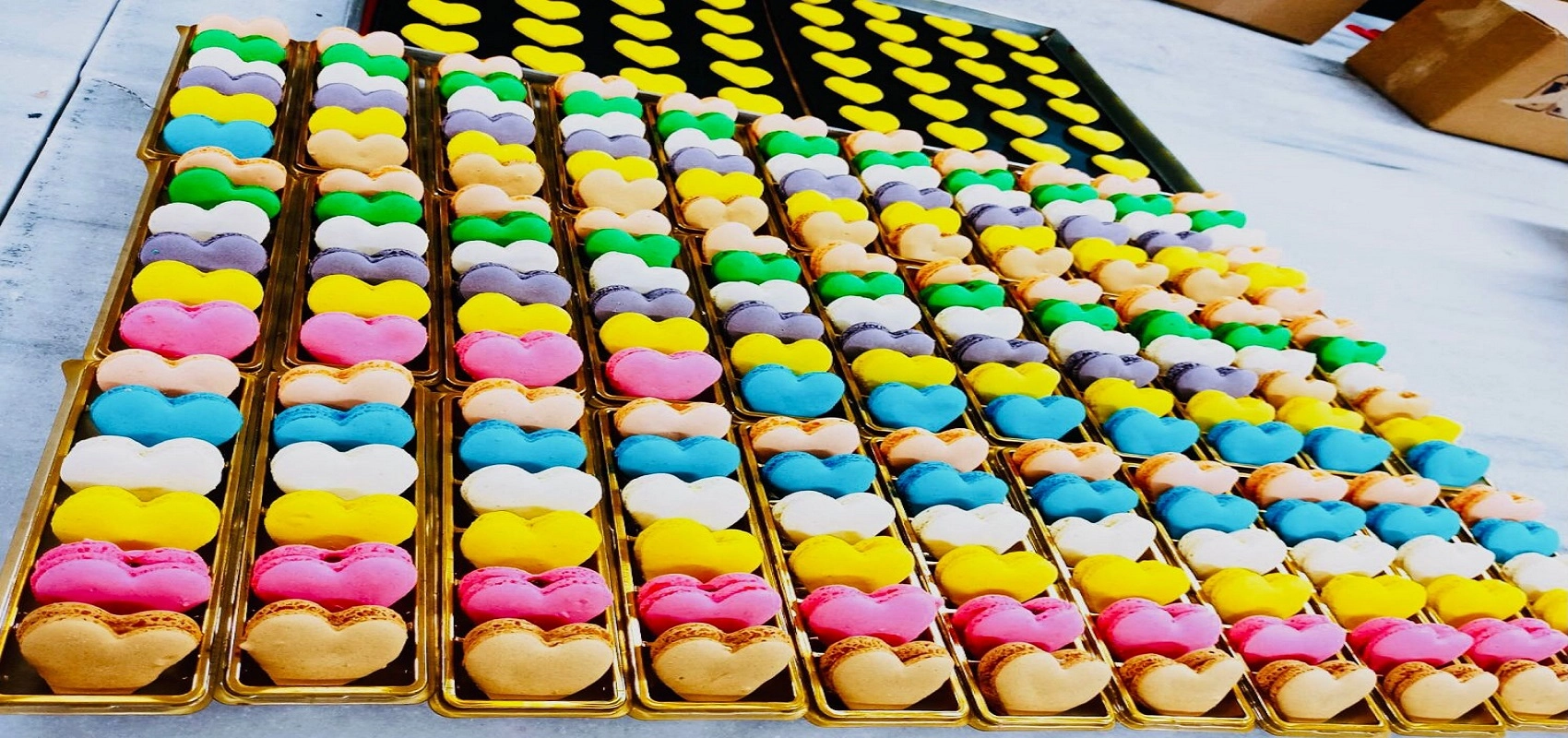 firma-slider
