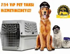 ürün PET TAKSİ