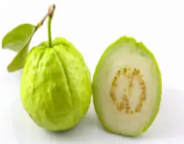 ürün ARMUT GUAVA