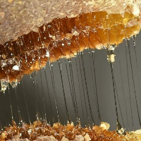 tanitim resim HİZAN KARAKOVAN BAL