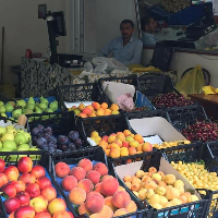 tanitim resim GÜDÜOĞLU MANAV