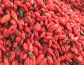 ürün GOJİ BERRY