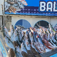 tanitim resim BALIKÇIM SU ÜRÜNLERİ