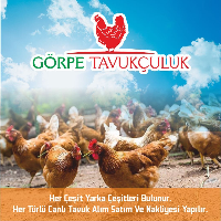 tanitim resim GÖRPE TAVUKÇULUK