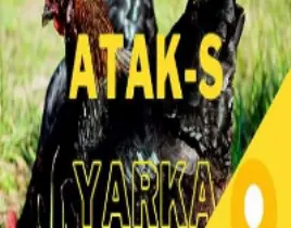 ürün ATAKS TAVUK