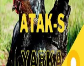 ürün ATAKS TAVUK