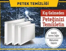 hizmet PETEK TEMİZLEME