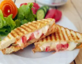 ürün TOST ÇEŞİTLERİ 