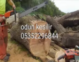 ürün ODUN KESİM