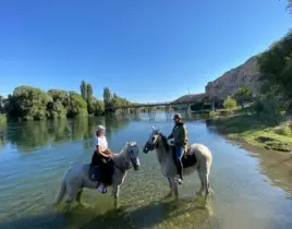 hizmet AT SAFARİ HİZMETİ 