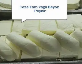 hizmet TAZE TAM YAĞLI BEYAZ PEYNİR