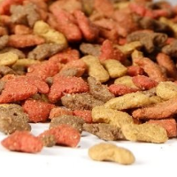 tanitim resim ETİMESGUT İREMSU PETSHOP