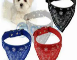 ürün KÖPEK AKSESUARLARI
