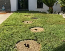 hizmet BAHÇE DÜZENLEME