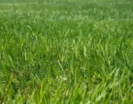 hizmet KALİTELİ HİZMET