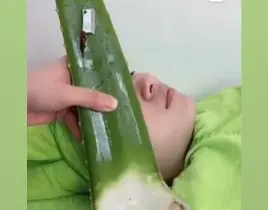 hizmet Aloe vera