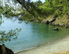 hizmet BALIK AVI TURU