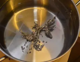 hizmet KURŞUN DÖKME