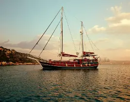 hizmet HAFTALIK TEKNE TURU
