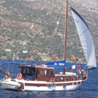 tanitim resim ROYAL GYPSY /GELGEZELİM-1