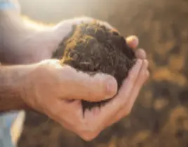 ürün ORGANİK GÜBRE