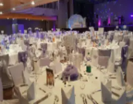 ürün DÜĞÜN ORGANİZASYON MALZEMELERİ SATIŞI