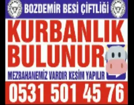 ürün BÜYÜKBAŞ HAYVAN SATIŞI