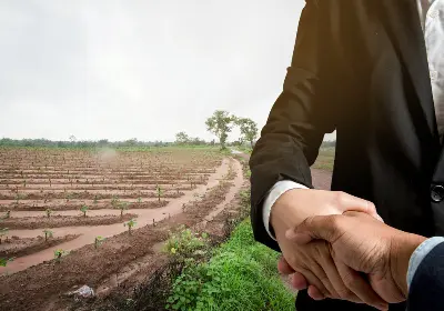 hizmet NİLÜFER  BAĞ BAHÇE ARSA