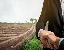 hizmet EMLAK GAYRİMENKUL DANIŞMANLIĞI