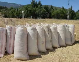 ürün  TORBA SAMAN SATIŞI