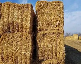 ürün FISTIK BALYA SATIŞI